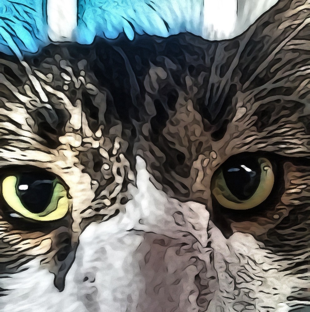 Meet your Posher, Jamie